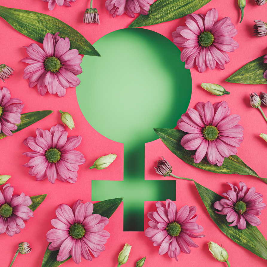 Female symbol with fresh spring gerbera flowers and leaves against two tone background